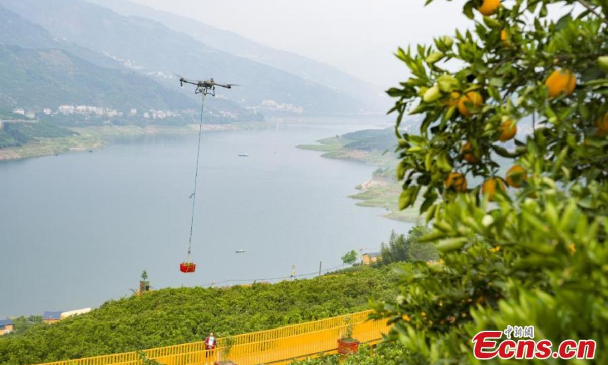 Drones transport navel oranges at a farmland in Zigui, central China's Hubei Province. Photo: China News Service