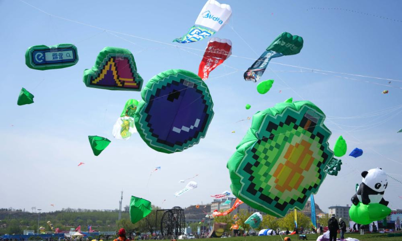 Kite fanciers fly kites at the 42nd Weifang International Kite Festival in Weifang, east China's Shandong Province, April 19, 2025. (Xinhua/Xu Suhui)