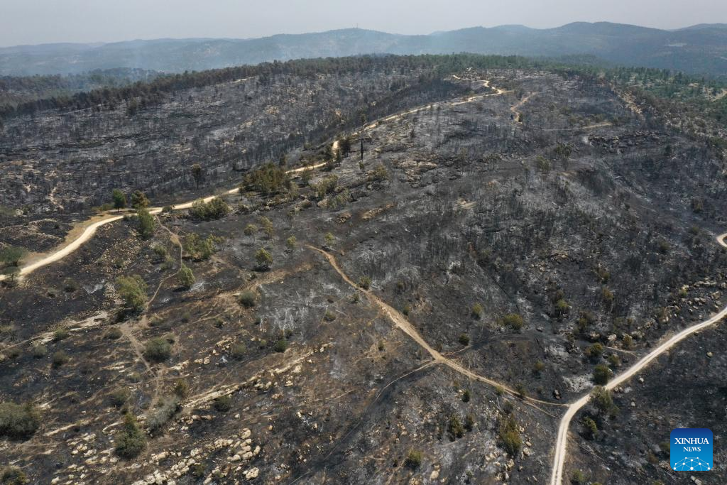 An aerial drone photo taken on April 24, 2025 shows burned trees in a nature reserve near Jerusalem after a massive wildfire. (Photo: Xinhua)