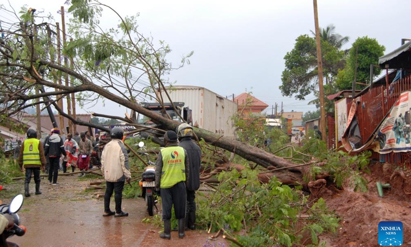 People clear a road blocked by a fallen tree in Kampala, capital city of Uganda, March 26, 2025. Heavy downpour and floods hit Kampala recently. (Photo: Xinhua)