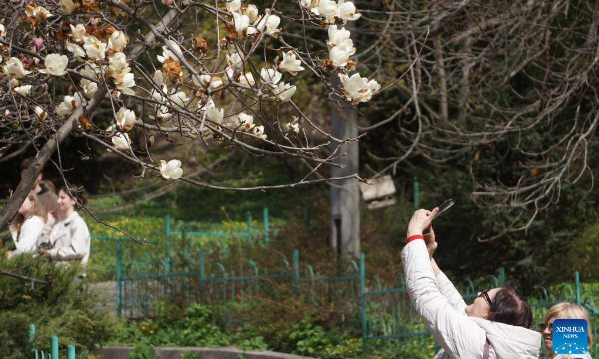People enjoy blossoms at a botanical garden in Kiev, Ukraine, April 17, 2025. (Photo：Xinhua)