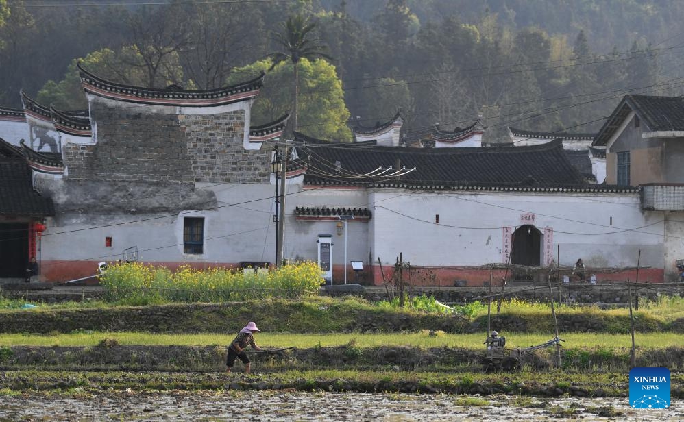 A villager works in a field outside the Zhou Family Courtyard in Lingling District of Yongzhou City, central China's Hunan Province, March 25, 2025. Boasting a history of hundreds of years, the Zhou Family Courtyard and the Hu Family Courtyard, with their houses crisscrossing in a tightly structured and meticulously arranged layout, showcase a long history and rich cultural heritage of traditional Chinese villages. (Photo: Xinhua)