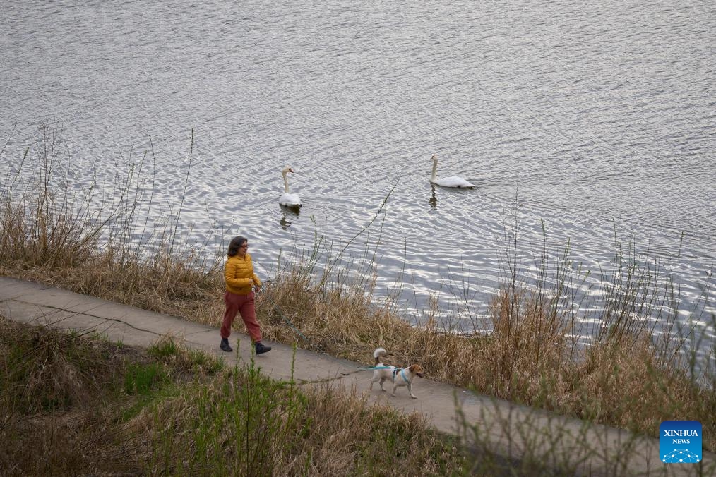 A woman walks her dog in the Ujazdowski Park in Warsaw, Poland on March 31, 2025. (Photo: Xinhua)