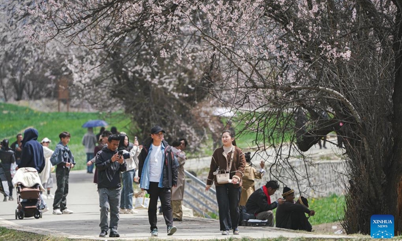 People enjoy the scenery during a peach blossom tourism and cultural festival in Nyingchi, southwest China's Xizang Autonomous Region, April 3, 2025. The tourism and cultural festival kicked off in Nyingchi on Thursday. More than 20 activities are scheduled to be held during the one-month event. (Photo: Xinhua)