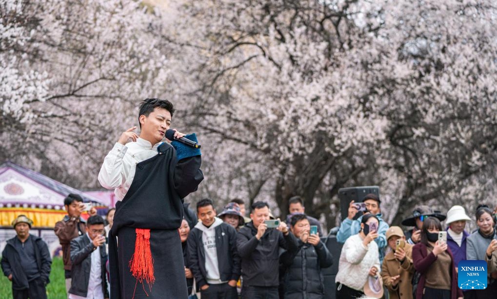 A singer performs during a peach blossom tourism and cultural festival in Nyingchi, southwest China's Xizang Autonomous Region, April 3, 2025. The tourism and cultural festival kicked off in Nyingchi on Thursday. More than 20 activities are scheduled to be held during the one-month event. (Photo: Xinhua)