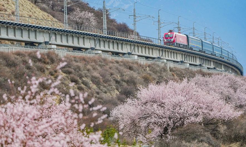 A train runs on the Nyingchi section of Lhasa-Nyingchi railway in southwest China's Xizang Autonomous Region, April 1, 2025. (Photo: Xinhua)