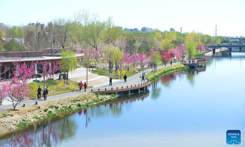 People appreciate the blooming flowers at a park in Haidian District of Beijing, capital of China, April 5, 2025. Qingming Festival, or Tomb-Sweeping Day, fell on April 4 this year. It is a traditional Chinese festival during which people pay tribute to the dead and worship their ancestors. The holiday also provides a short break for China's residents to engage in outdoor activities or go sightseeing. (Photo: Xinhua)