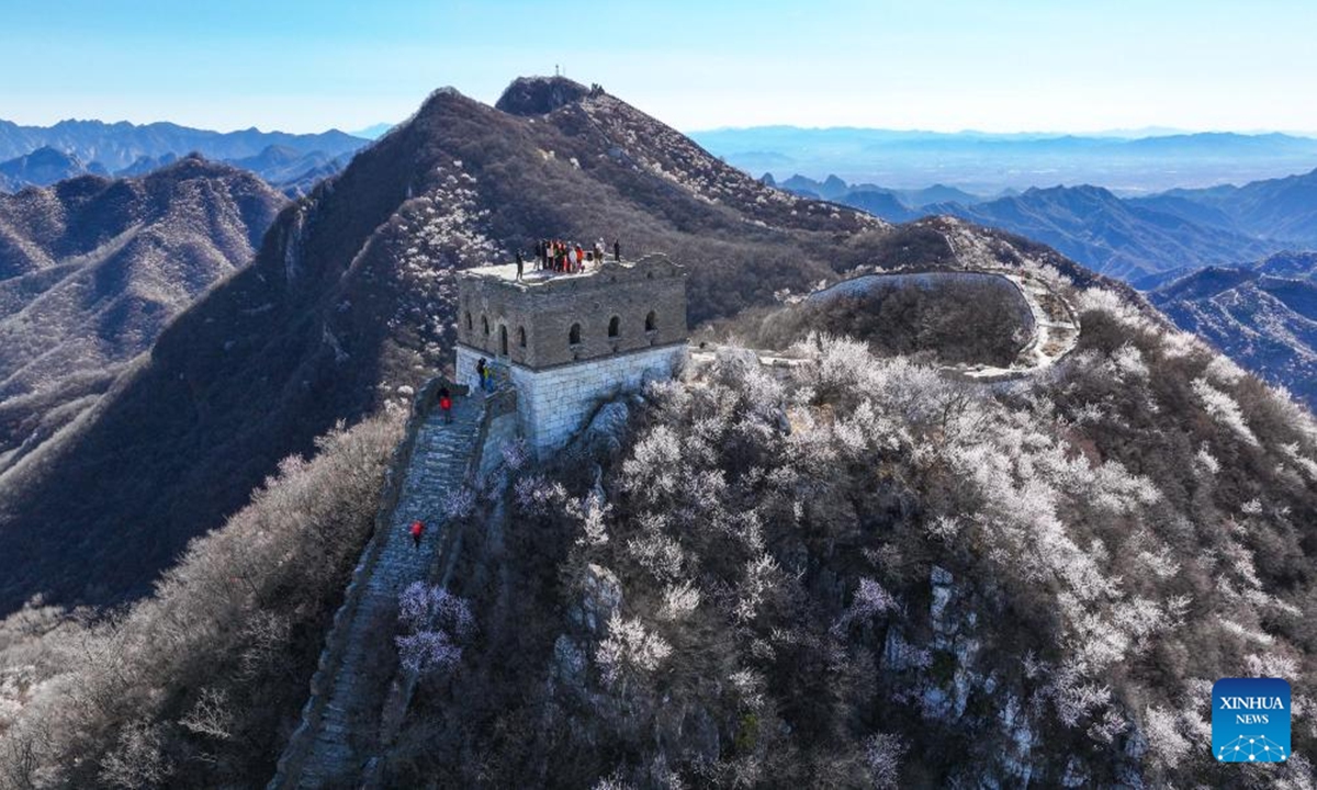 An aerial drone photo taken on April 5, 2025 shows people visiting the Jiankou section of the Great Wall in Beijing, capital of China. Mutianyu and Jiankou sections of the Great Wall are popular destinations among mountain hikers and photographers. As spring comes, miles of tree blossoms add a touch of tenderness to the majestic Great Wall.   (Photo: Xinhua)