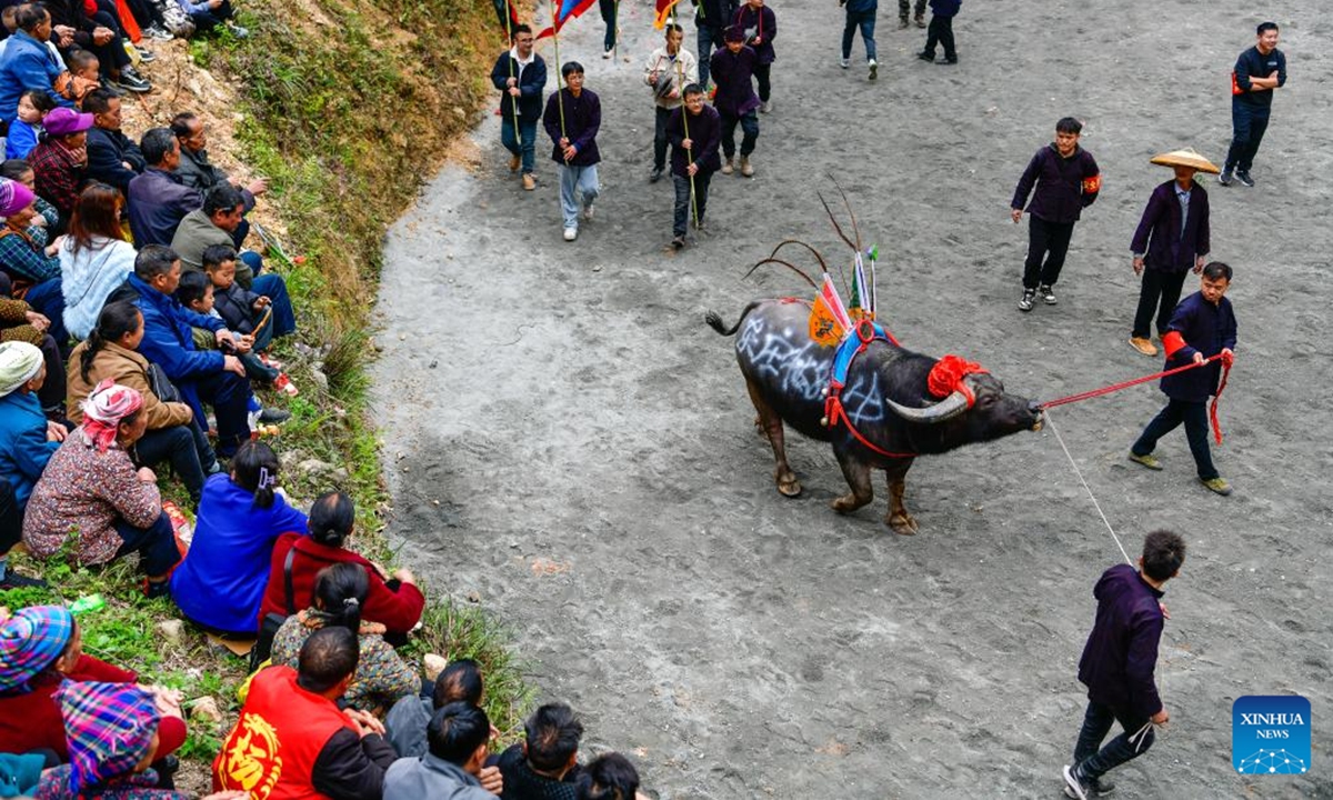 People take part in a bull-fighting folk event to celebrate the Guzang Festival in Dongzhuang Village, Jinping County of southwest China's Guizhou Province, April 6, 2025. Guzang Festival is the most important festival for the Miao people to offer sacrifice to their ancestors. (Photo: Xinhua)