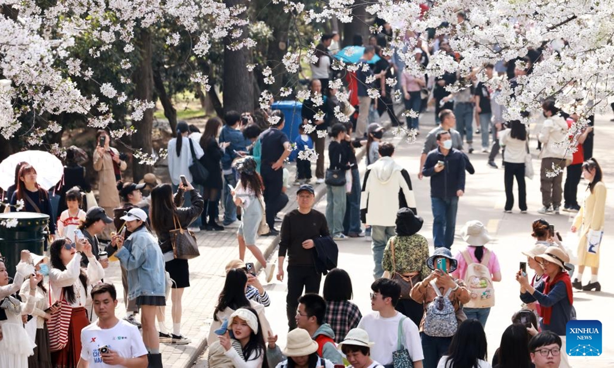 People enjoy cherry blossoms at Wuhan University in Wuhan, capital of central China's Hubei Province, March 22, 2025.   (Photo: Xinhua)