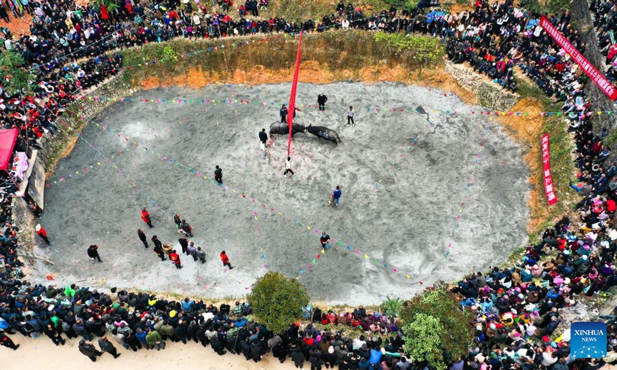 An areial drone photo taken on April 6, 2025 shows a bull-fighting folk event to celebrate the Guzang Festival in Dongzhuang Village, Jinping County of southwest China's Guizhou Province. Guzang Festival is the most important festival for the Miao people to offer sacrifice to their ancestors. (Photo: Xinhua)