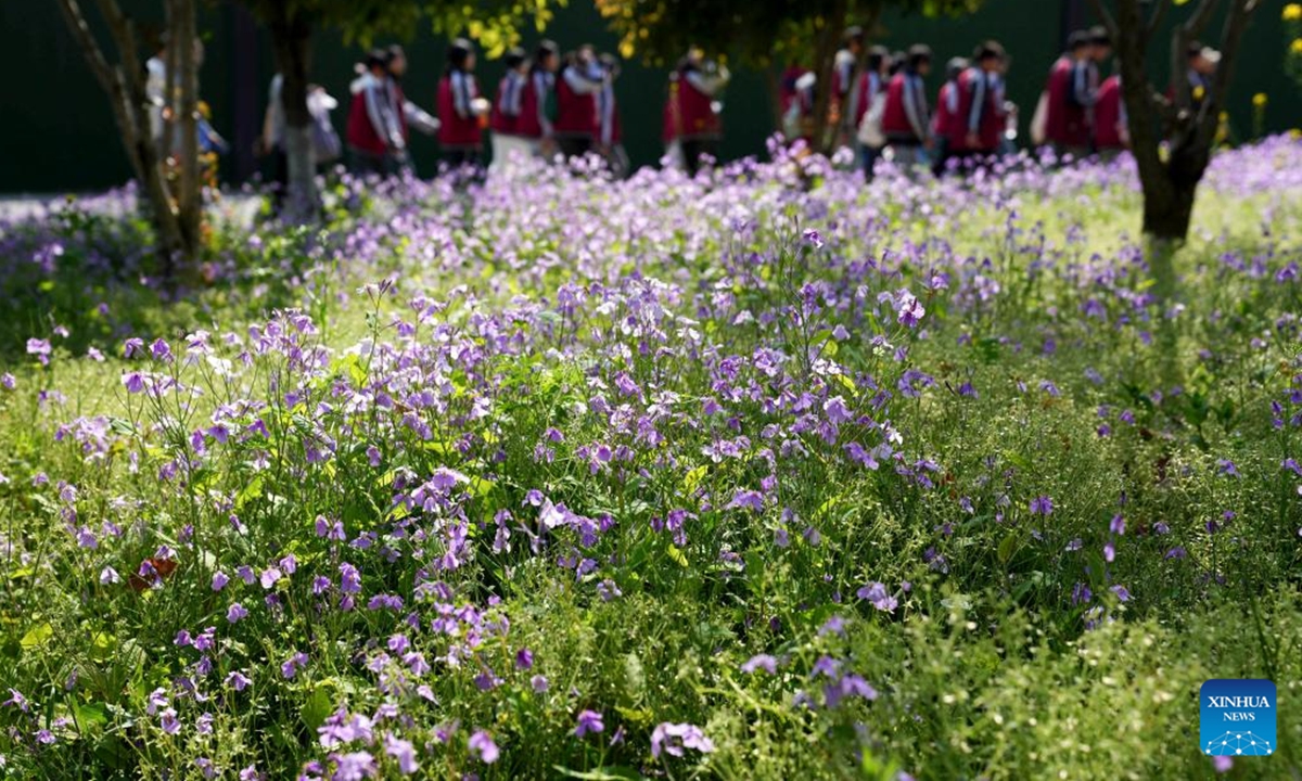 Students walk past flowers at the Zijingang campus of Zhejiang University in Hangzhou, capital of east China's Zhejiang Province, April 6, 2025.    (Photo: Xinhua)