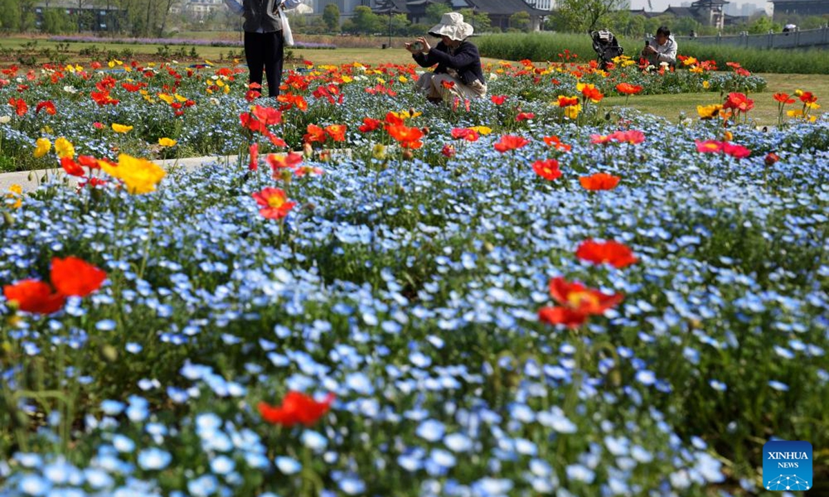 People enjoy flowers at the Zijingang campus of Zhejiang University in Hangzhou, capital of east China's Zhejiang Province, April 6, 2025.   (Photo: Xinhua)