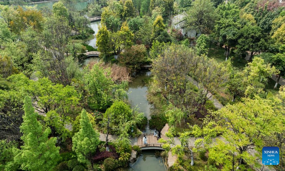 An aerial drone photo taken on April 6, 2025 shows tourists visiting Honghe Nativeland in Mile City, Honghe Hani and Yi Autonomous Prefecture, southwest China's Yunnan Province. During this year's three-day Qingming Festival holiday, citizens and tourists came to this city's Huquan Ecological Park, Dongfengyun Town, Honghe Nativeland and other places to enjoy the spring scenery.  (Photo: Xinhua)