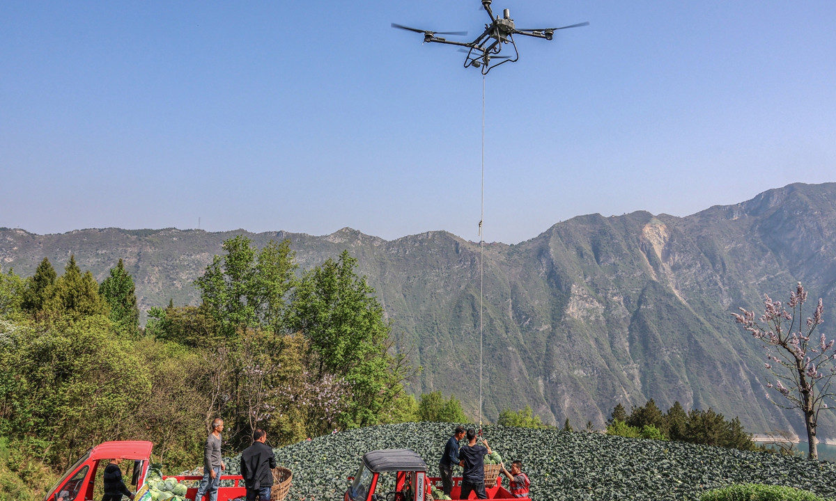 A heavy-duty drone helps farmers in Wushan county, Southwest China's Chongqing Municipality to transport newly harvested cabbage from fields on April 8, 2025. The Civil Aviation Administration of China estimates that the country's low-altitude market will soar from 500 billion yuan ($68.41 billion) in 2023 to 1.5 trillion yuan in 2025, according to the Xinhua News Agency. Photo: VCG