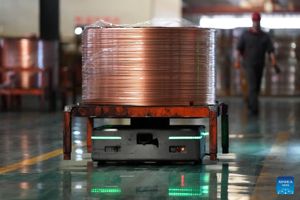 An automatic guided vehicle transports a roll of copper pipe at Zhejiang Hailiang Limited in Diankou Town of Zhuji, east China's Zhejiang Province, April 7, 2025. Zhuji has made continuous efforts in promoting the quality development of its private sector in recent years. Home to many state-level high-tech enterprises, the city's value-added industrial output of enterprises above the designated size has maintained growth for 47 consecutive months.  (Xinhua/Zheng Huansong)