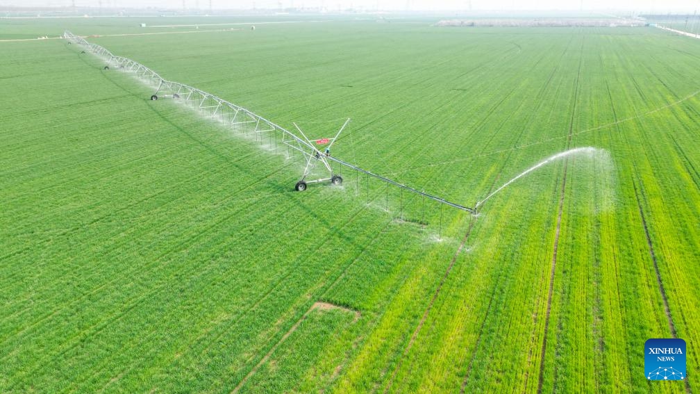 An aerial drone photo taken on April 9, 2025 shows a sprinkler irrigating crops at a field in Dongying, east China's Shandong Province. (Photo: Xinhua)