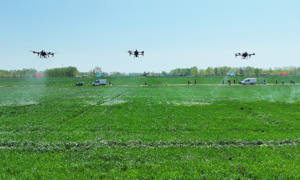 A drone team from a vocational college carries out aerial spraying operations in wheat fields in Suqian, East China's Jiangsu Province on April 16. 2025. In 2024, China's plant protection drone fleet has reached 251,000 units, according to media reports. Photo: VCG