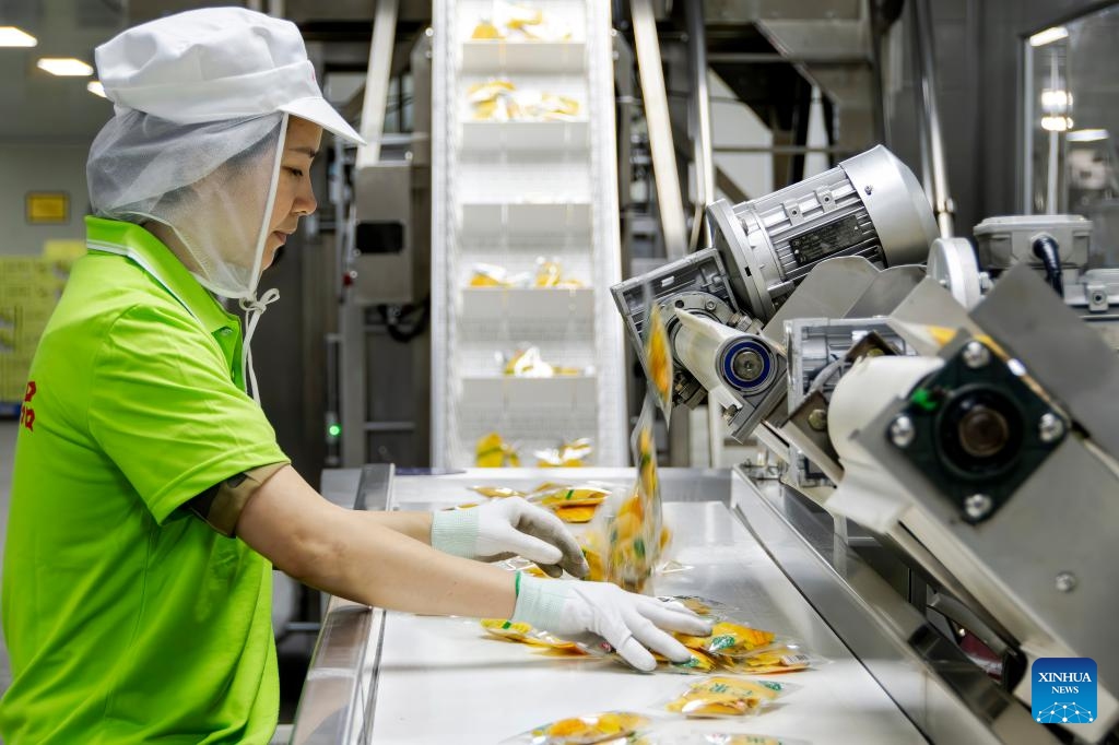 A worker sorts dried mango slices on the food processing line of Zhong Bao (Fujian) Food Science & Technology Co. Ltd. in Pinghe County of Zhangzhou City, southeast China's Fujian Province, March 26, 2025. In western Cambodia's Phnom Sruoch district, the abundant sunshine, plentiful rainfall, and fertile soil provide ideal natural conditions for mango cultivation, yielding mangoes featuring tender flesh and rich aroma. (Photo: Xinhua)