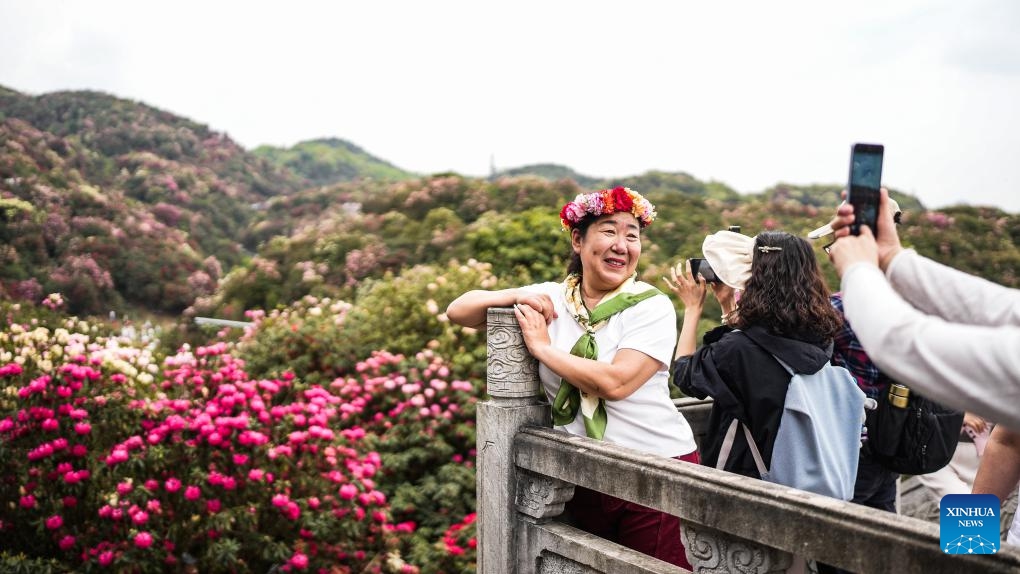 Tourists enjoy the view of blooming azaleas at Baili Azalea Nature Reserve in Bijie City, southwest China's Guizhou Province, April 17, 2025. The blooming azaleas in Bijie attract many tourists in spring. (Photo: Xinhua)
