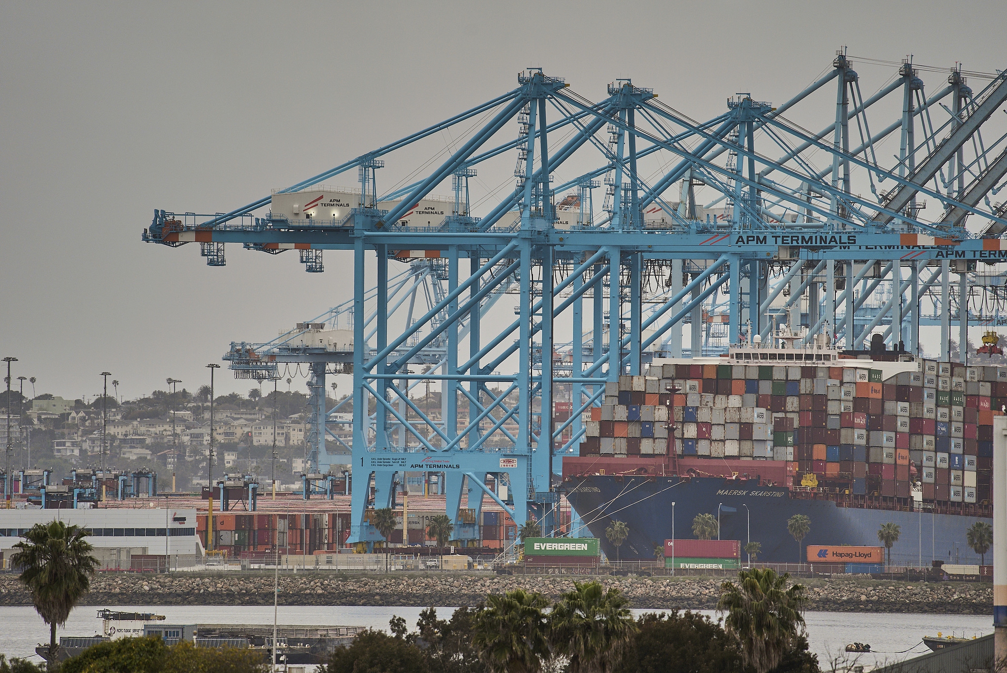 The Maersk Skarstind container ship is moored at the APM Port of Los Angeles in Los Angeles Tuesday, April 15, 2025. Photo: VCG