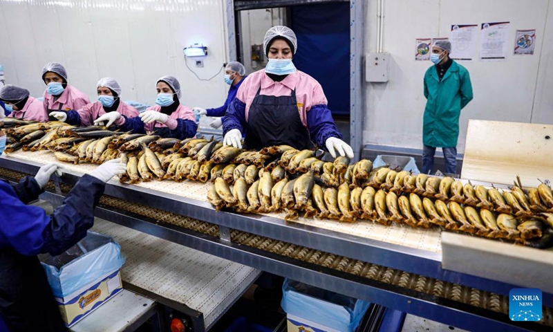 Workers package salted fish at a factory in Port Said, Egypt, on April 19, 2025. As dawn breaks on Orthodox Easter Monday, Egyptians of all faiths gather in parks, on balconies, and along riverbanks, clutching plates of fesikh -- a pungent, fermented fish dish that has anchored the country's millennia-old festival, Sham El-Nessim, since the days of the pharaohs. (Photo: Xinhua)