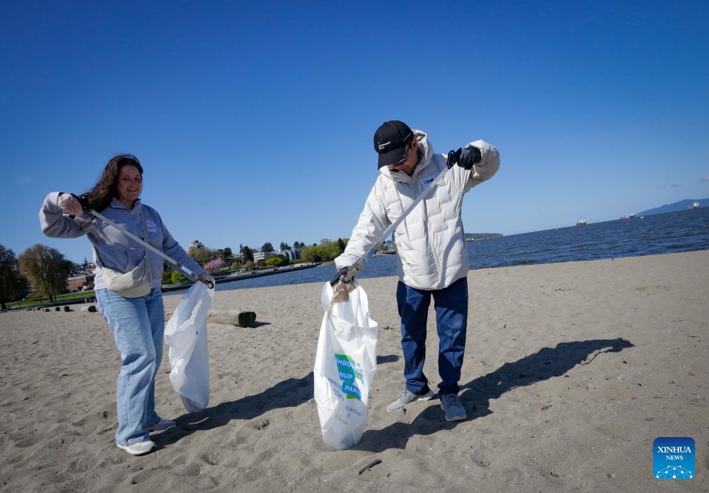 Volunteers pick up litter during a beach cleanup event at Kitsilano Beach in Vancouver, British Columbia, Canada, on April 22, 2025. Volunteers participated in the beach cleanup event here on Tuesday to mark Earth Day. (Photo: Xinhua)