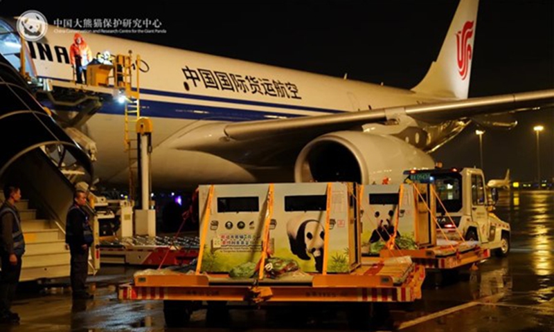 Two giant pandas Lan Yun and He Feng depart for Austria in new round of 10-year cooperation