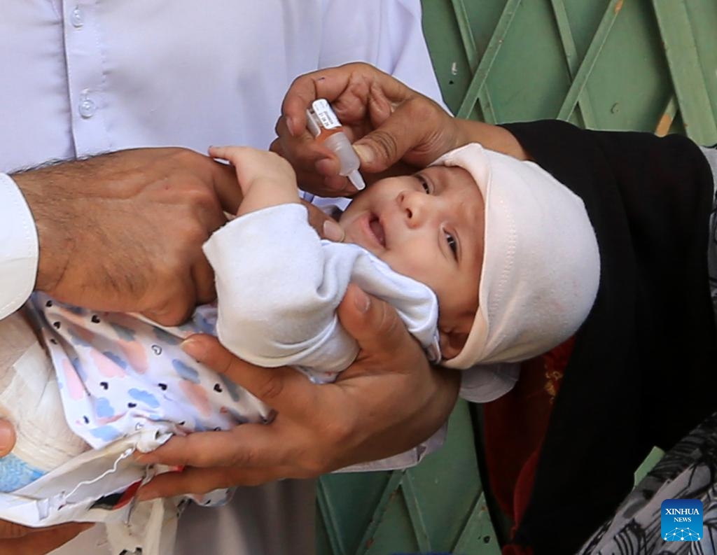 A health worker gives polio vaccination drops to a child during the National Immunization Days campaign in northwest Pakistan's Peshawar on April 21, 2025. Pakistan has confirmed its seventh polio case of the year after the virus was detected in a child from the northwest Khyber Pakhtunkhwa province, the Ministry of National Health Services said in a statement on Wednesday. (Photo: Xinhua)