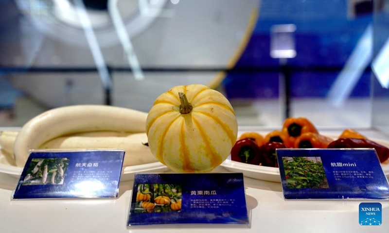 Space-bred vegetables are pictured at the preview of a science exhibition marking the 10th Space Day of China at Shanghai World Expo Exhibition and Convention Center in east China's Shanghai, April 23, 2025. April 24 has been Space Day of China since 2016. The date marks the launch of China's first satellite Dongfanghong-1 into space in 1970. Activities to mark the 10th Space Day of China will take place from April 24 to May 5 at the Shanghai World Expo Exhibition and Convention Center. (Photo: Xinhua)