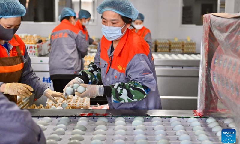 Workers put duck eggs onto a processing line at a factory in Liaoyang City, northeast China's Liaoning Province, April 24, 2025. In recent years, Liaoyang City has made efforts in advancing local agriculture industry by enhancing the added value of traditional animal husbandry. An industrial chain that covers standardized livestock farming, feed processing, egg products processing, offline sales and e-commerce sales has taken shape and boosted the increase of local farmers' income. (Photo: Xinhua)