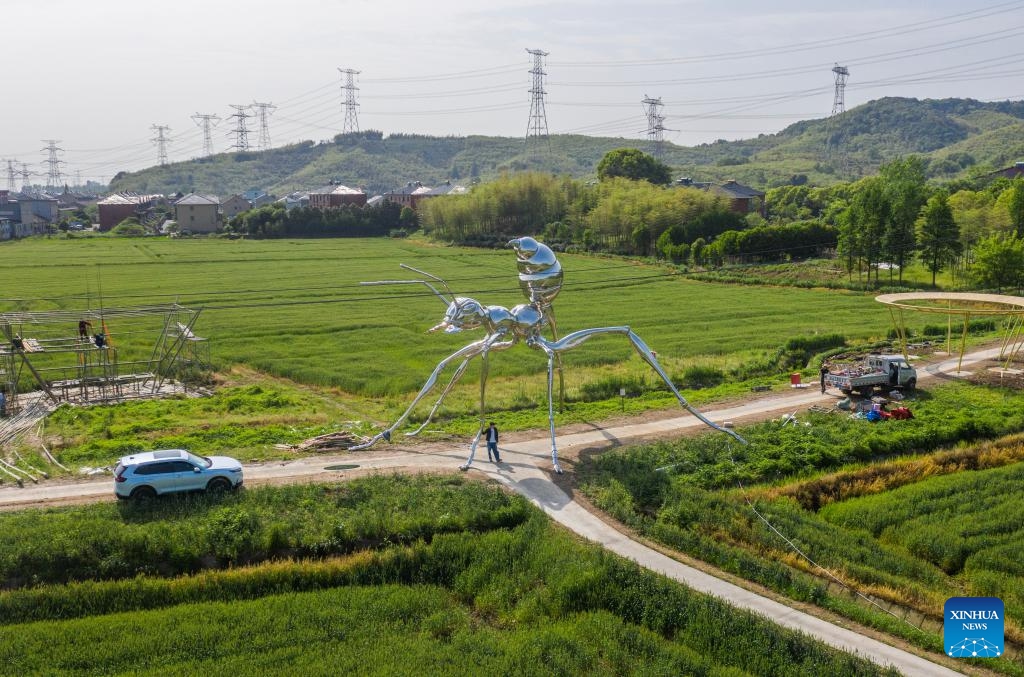 An aerial drone photo taken on April 25, 2025 shows an art work displayed in the fields in Donglin Town, Huzhou City of east China's Zhejiang Province. A land art event kicked off in the wheat fields in Donglin Town on Friday. Teachers and students from many Chinese fine arts academies formed the core creative team, producing 42 land art pieces here. (Photo: Xinhua)