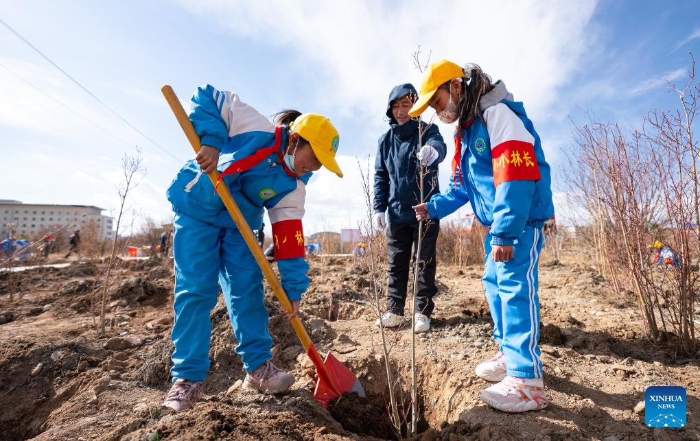 Students take part in a voluntary tree-planting activity in Nagqu, southwest China's Xizang Autonomous Region, April 25, 2025. Nagqu City has an average altitude of 4,500 meters. Due to the unfavorable conditions for tree growth, such as permafrost, low temperature, frequent strong wind throughout the year, it was once the only prefecture-level city in China without trees used for urban greening. (Photo: Xinhua)