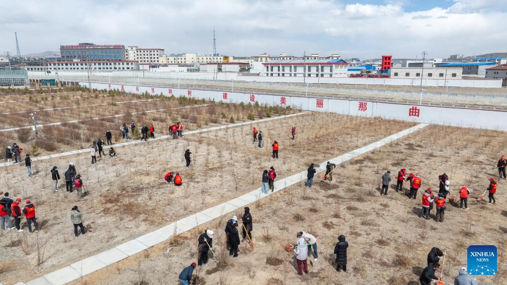 This drone photo shows people taking part in a voluntary tree-planting activity in Nagqu, southwest China's Xizang Autonomous Region, April 25, 2025. Nagqu City has an average altitude of 4,500 meters. Due to the unfavorable conditions for tree growth, such as permafrost, low temperature, frequent strong wind throughout the year, it was once the only prefecture-level city in China without trees used for urban greening. (Photo: Xinhua)