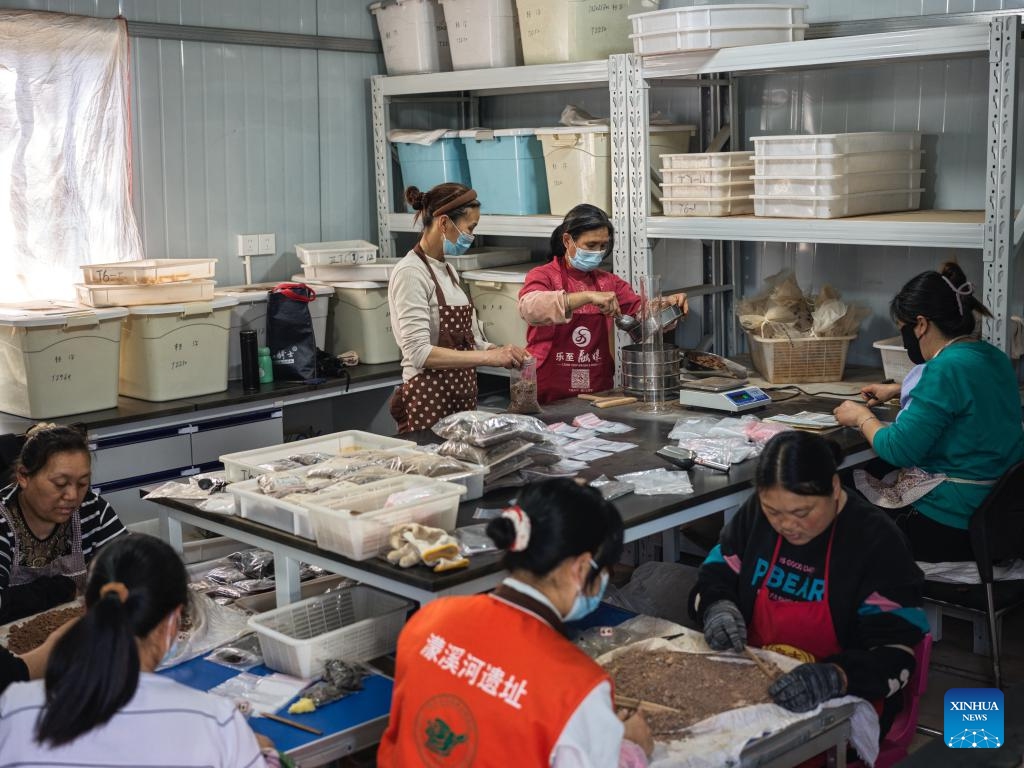 Staff members sort flotation samples in Ziyang, southwest China's Sichuan Province, April 8, 2025. China on Thursday unveiled its top 10 archaeological discoveries of 2024, including the Mengxihe Site in Sichuan. (Photo: Xinhua)