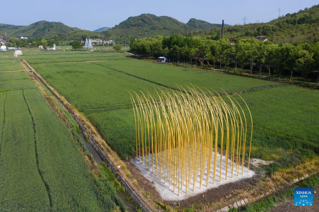 An aerial drone photo taken on April 25, 2025 shows an art work displayed in the fields in Donglin Town, Huzhou City of east China's Zhejiang Province. A land art event kicked off in the wheat fields in Donglin Town on Friday. Teachers and students from many Chinese fine arts academies formed the core creative team, producing 42 land art pieces here. (Photo: Xinhua)