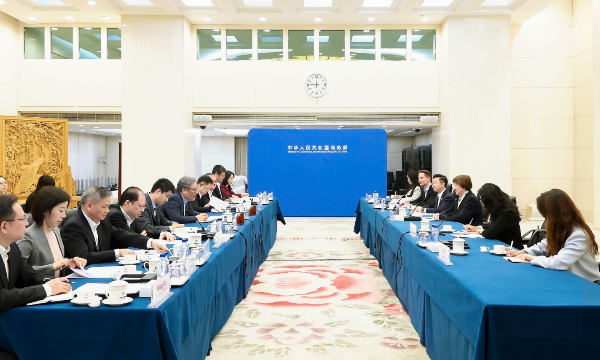 China's Commerce Minister Wang Wentao meets Hildegard Muller, president of the German Automotive Industry Association, in Beijing on April 27, 2025. Photo: website of the Chinese Ministry of Commerce 