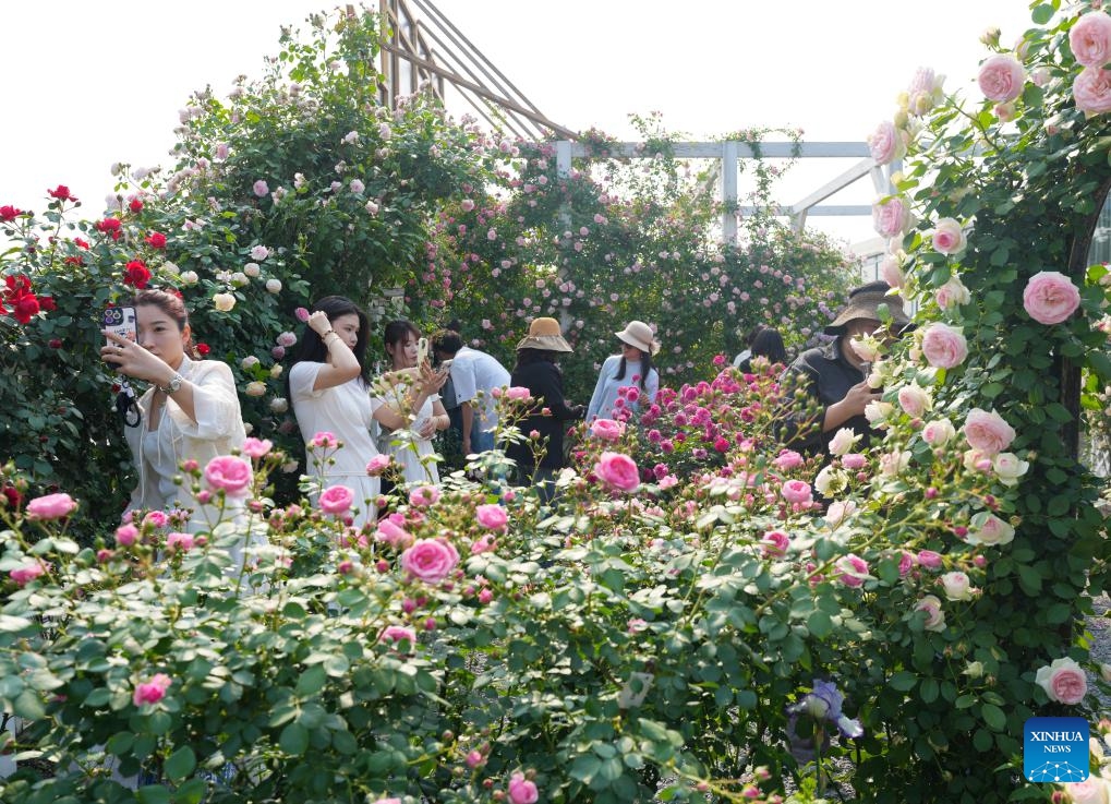 Visitors view flowers during the 2025 World Garden Show in Haining City, east China's Zhejiang Province, April 28, 2025. The event kicked off here on Monday with a total exhibition area of 500,000 square meters. (Photo: Xinhua)