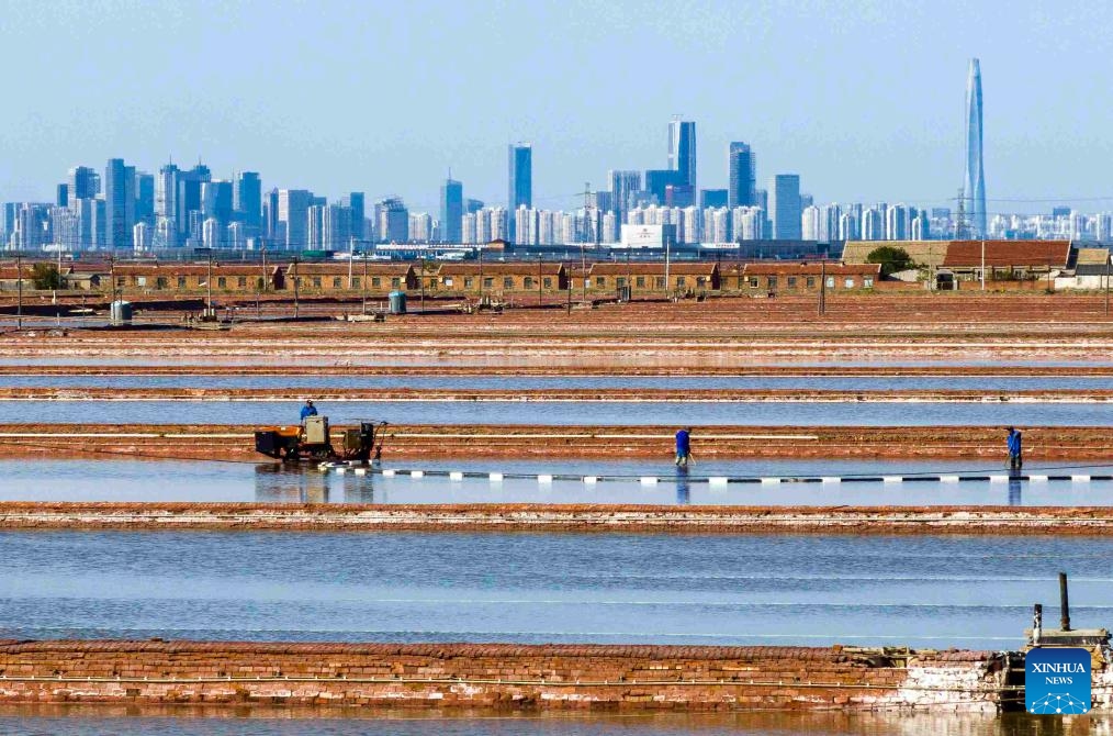 An aerial drone photo taken on April 27, 2025 shows a worker harvesting salt with a machine in salt flats of Tianjin Changlu Haijing Group Co., Ltd. in Tianjin, north China. In recent days, workers of Tianjin Changlu Haijing Group Co., Ltd. have been busy harvesting salt in its 250,000 mu (about 16,700 hectares) of salt flats. The spring harvest of salt usually starts from mid-to-late March to June, depending on the weather condition. (Photo: Xinhua)