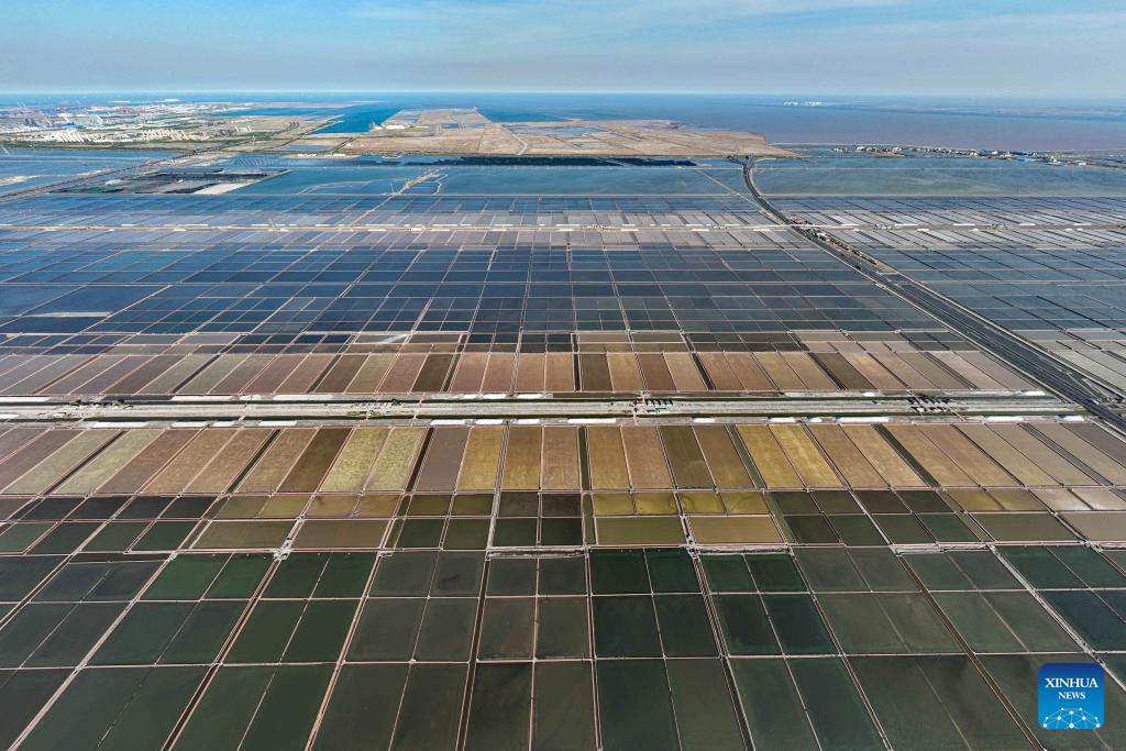 An aerial drone photo taken on April 27, 2025 shows salt flats of Tianjin Changlu Haijing Group Co., Ltd. in Tianjin, north China. In recent days, workers of Tianjin Changlu Haijing Group Co., Ltd. have been busy harvesting salt in its 250,000 mu (about 16,700 hectares) of salt flats. The spring harvest of salt usually starts from mid-to-late March to June, depending on the weather condition. (Photo: Xinhua)