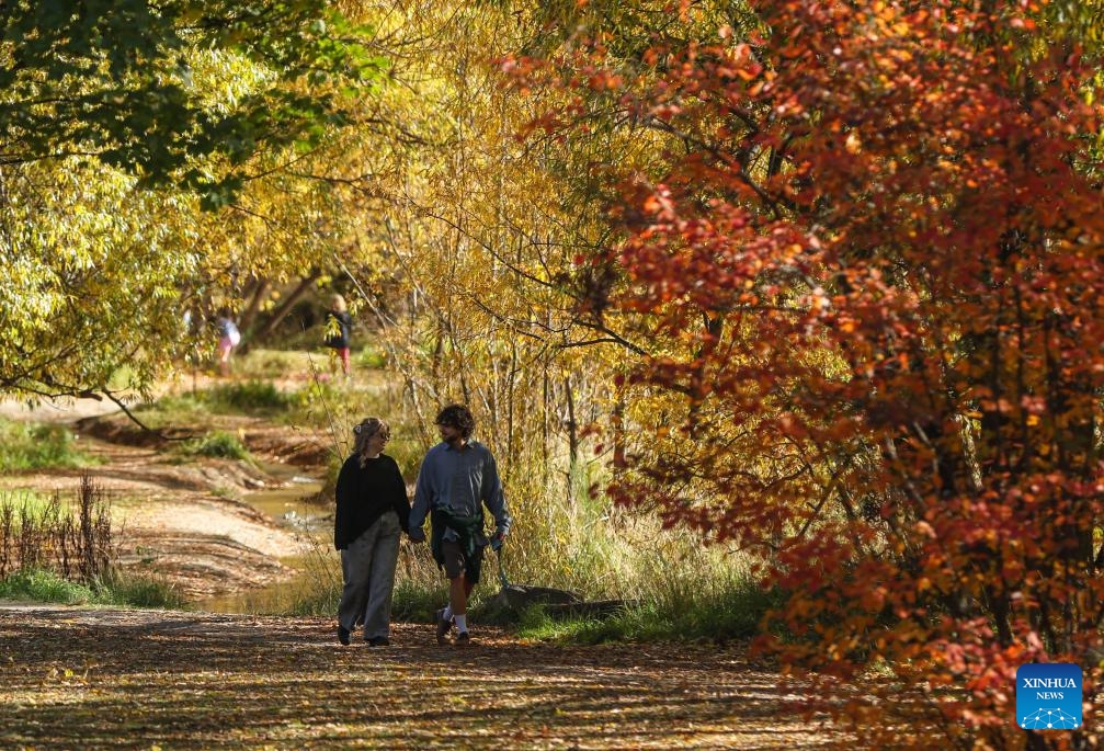 People take a walk in Arrowtown, New Zealand, on April 25, 2025. (Photo: Xinhua)