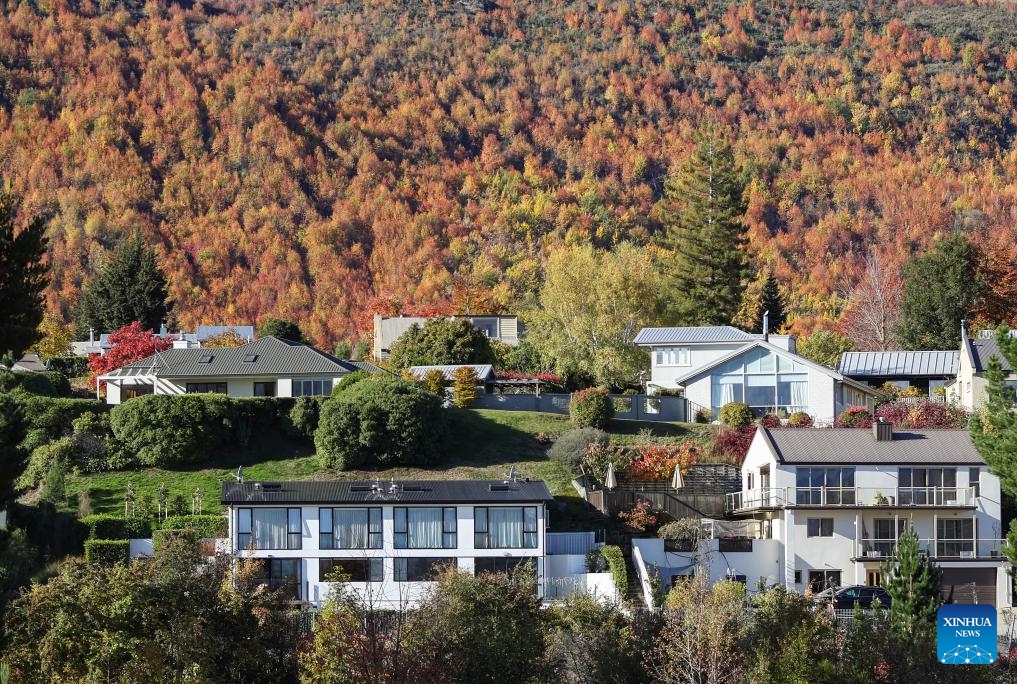 This photo taken on April 25, 2025 shows the autumn scenery in Arrowtown, New Zealand. (Photo: Xinhua)