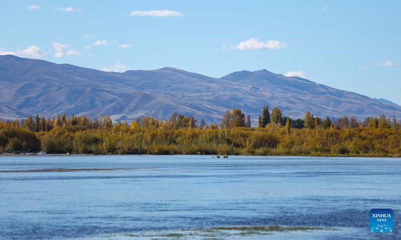 This photo taken on April 26, 2025 shows the autumn scenery in the Clutha River in New Zealand. (Photo: Xinhua)