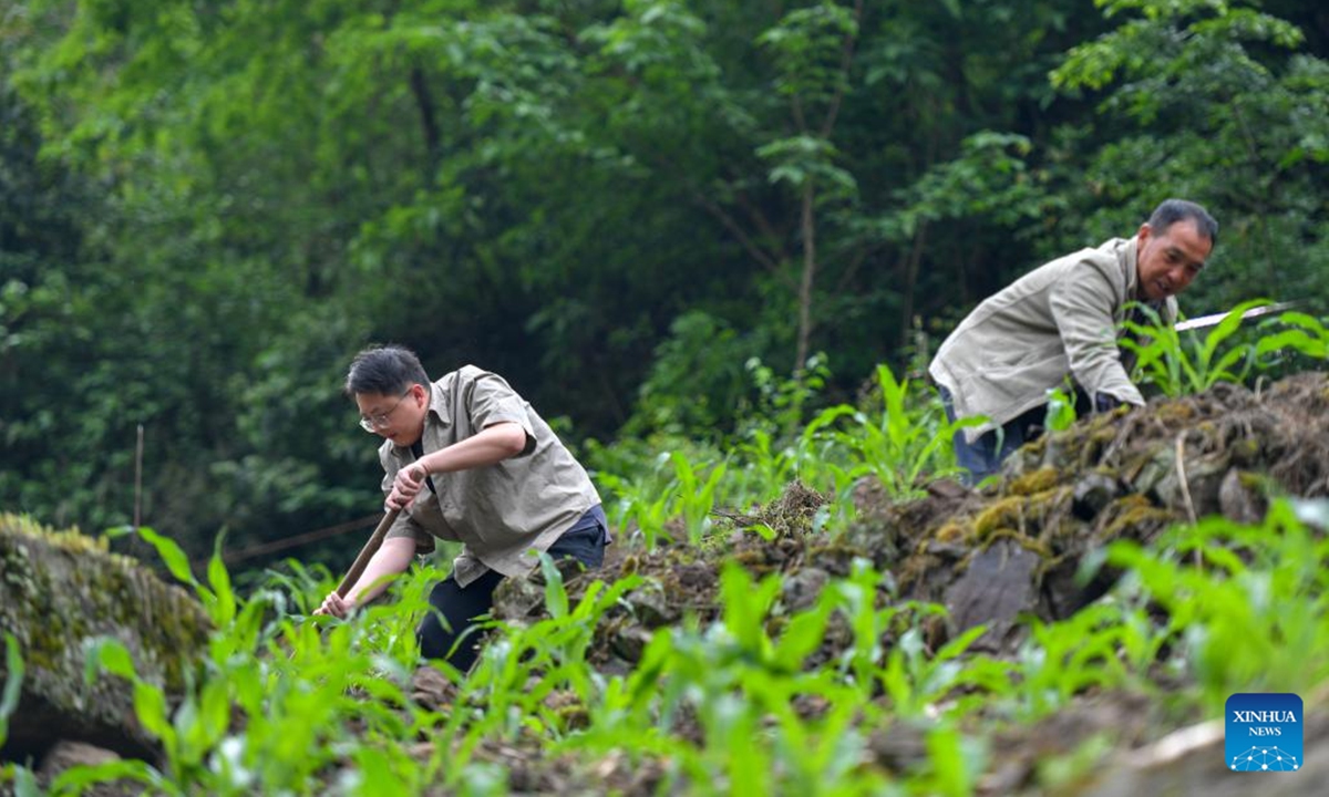 Li Runnan (L) works with a local villager in Wangu Village of Yanjin County, Zhaotong City, southwest China's Yunnan Province, April 30, 2025. Li Runnan, born in 1996, graduated from Peking University in 2023 and began working as a village cadre in Wangu Village of Yanjin County, Yunnan Province the following year.