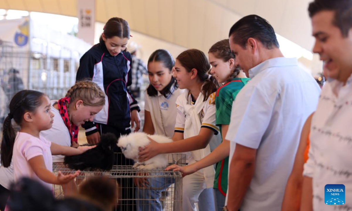 The San Marcos Fair (Feria Nacional de San Marcos), is one of Mexico's most representative annual festivals. Held in Aguascalientes, a traditional agricultural and livestock region in north-central Mexico, the fair features a major livestock exhibition showcasing high-quality breeds and agricultural products from across the country, blending traditional rural culture with modern techniques and attracting large numbers of visitors and professionals. (Xinhua)