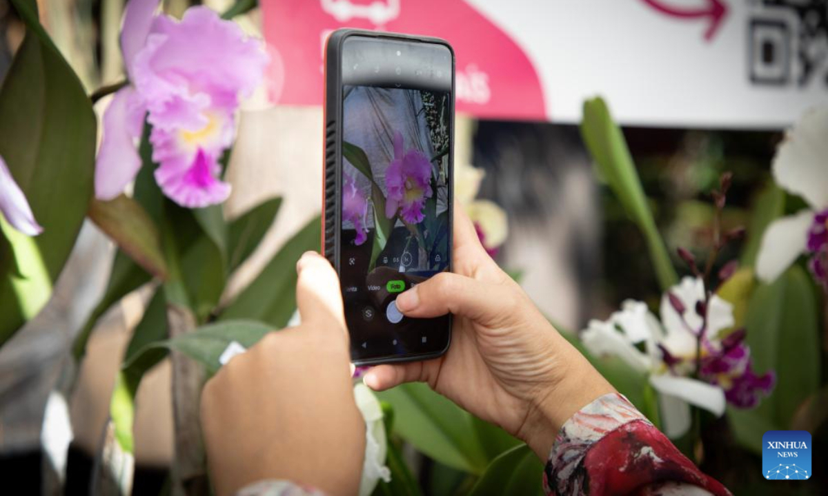 A visitor takes photos of an orchid displayed during the Orchid Fair at the Carlos Thays Botanical Garden in Buenos Aires, Argentina, May 10, 2025. (Photo by Martin Zabala/Xinhua)