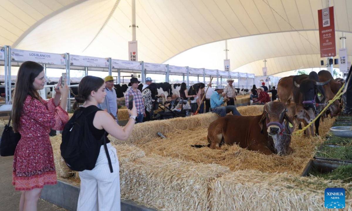 The San Marcos Fair (Feria Nacional de San Marcos), is one of Mexico's most representative annual festivals. Held in Aguascalientes, a traditional agricultural and livestock region in north-central Mexico, the fair features a major livestock exhibition showcasing high-quality breeds and agricultural products from across the country, blending traditional rural culture with modern techniques and attracting large numbers of visitors and professionals. (Xinhua)
