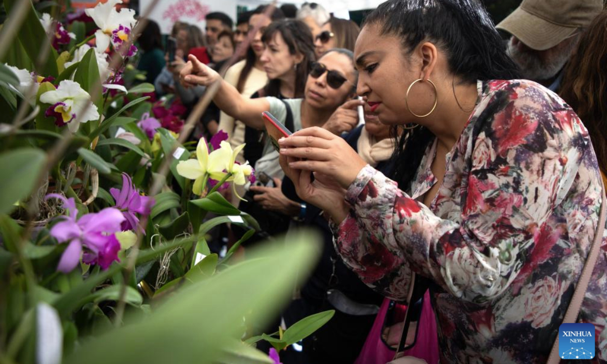 Visitors view orchids displayed at a booth during the Orchid Fair at the Carlos Thays Botanical Garden in Buenos Aires, Argentina, May 10, 2025. (Photo by Martin Zabala/Xinhua)