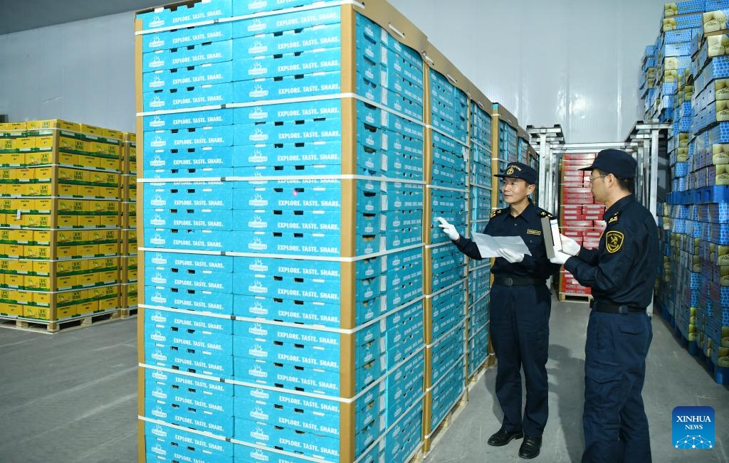 Customs officers check boxes of fresh pears in Botou, north China's Hebei Province, May 7, 2025. After customs inspection, over 2,500 boxes of fresh pears from Dongfang Fruit company will be exported to Argentina, marking the first export of fresh pears from Hebei Province to the South American country. (Photo: Xinhua)