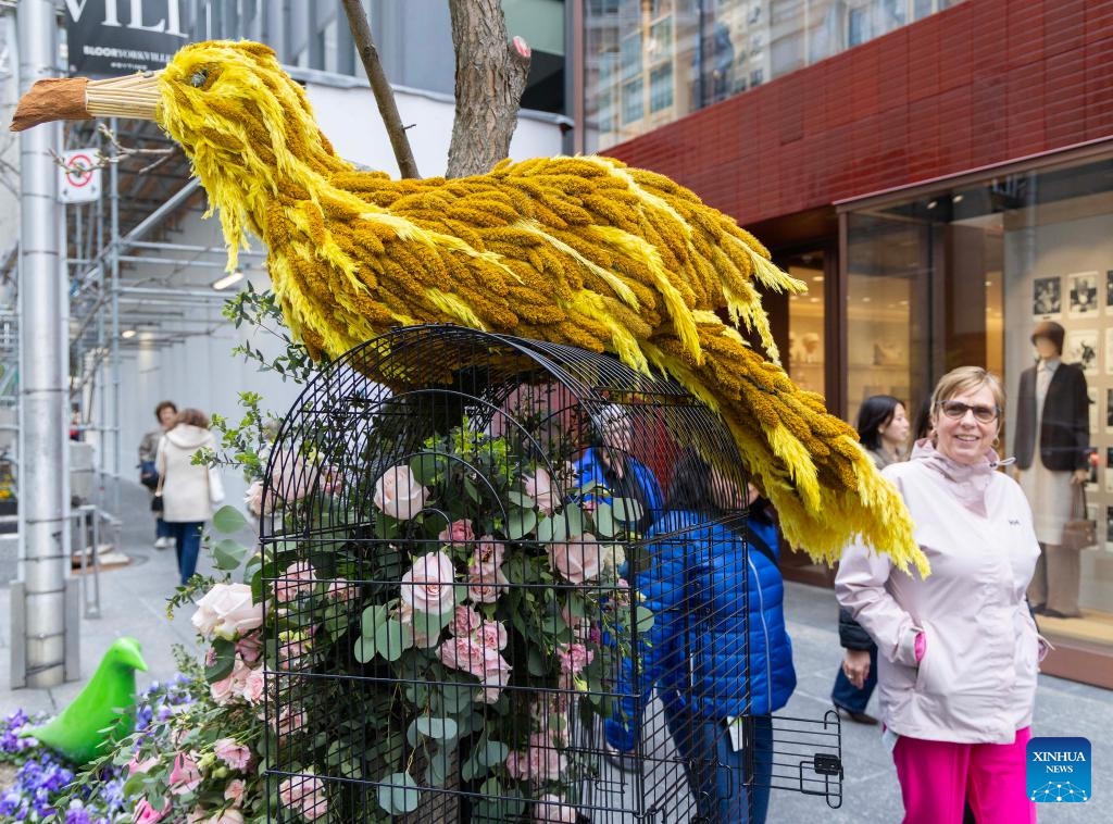 People walk past a floral mannequin during the 2025 Fleurs de Villes SPRING event in Toronto, Canada, on May 8, 2025. Featuring over 30 floral installations created by local florists, the annual event is held here from May 7 to May 11 this year. (Photo: Xinhua)
